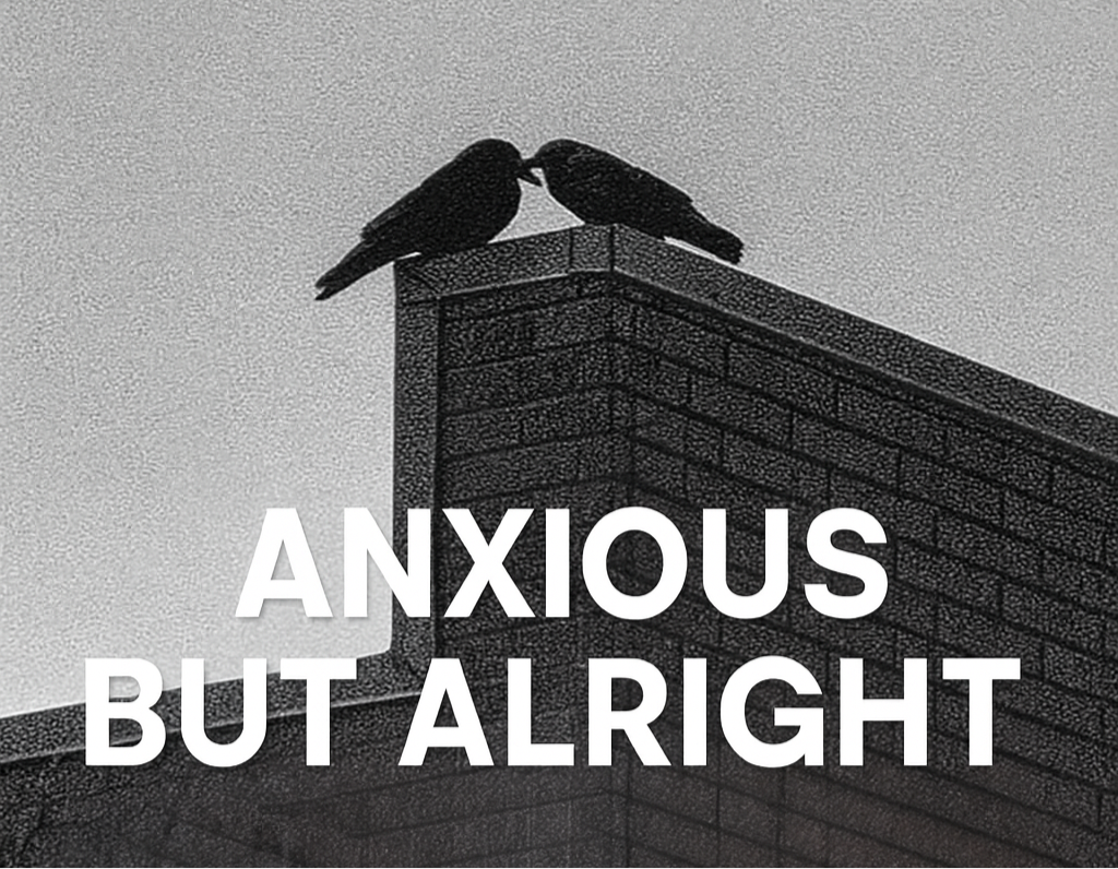 Two birds perched on a wall with 'Anxious But Alright' text against a gray background